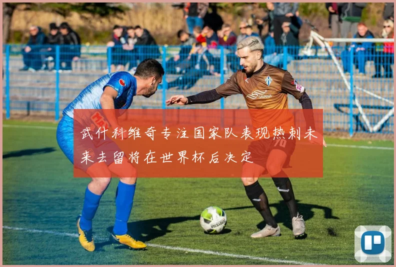 武什科维奇专注国家队表现热刺未来去留将在世界杯后决定